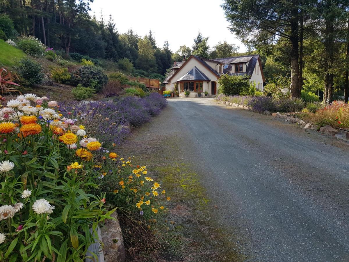 Forest View Woodland Lodge Ballard Exterior foto