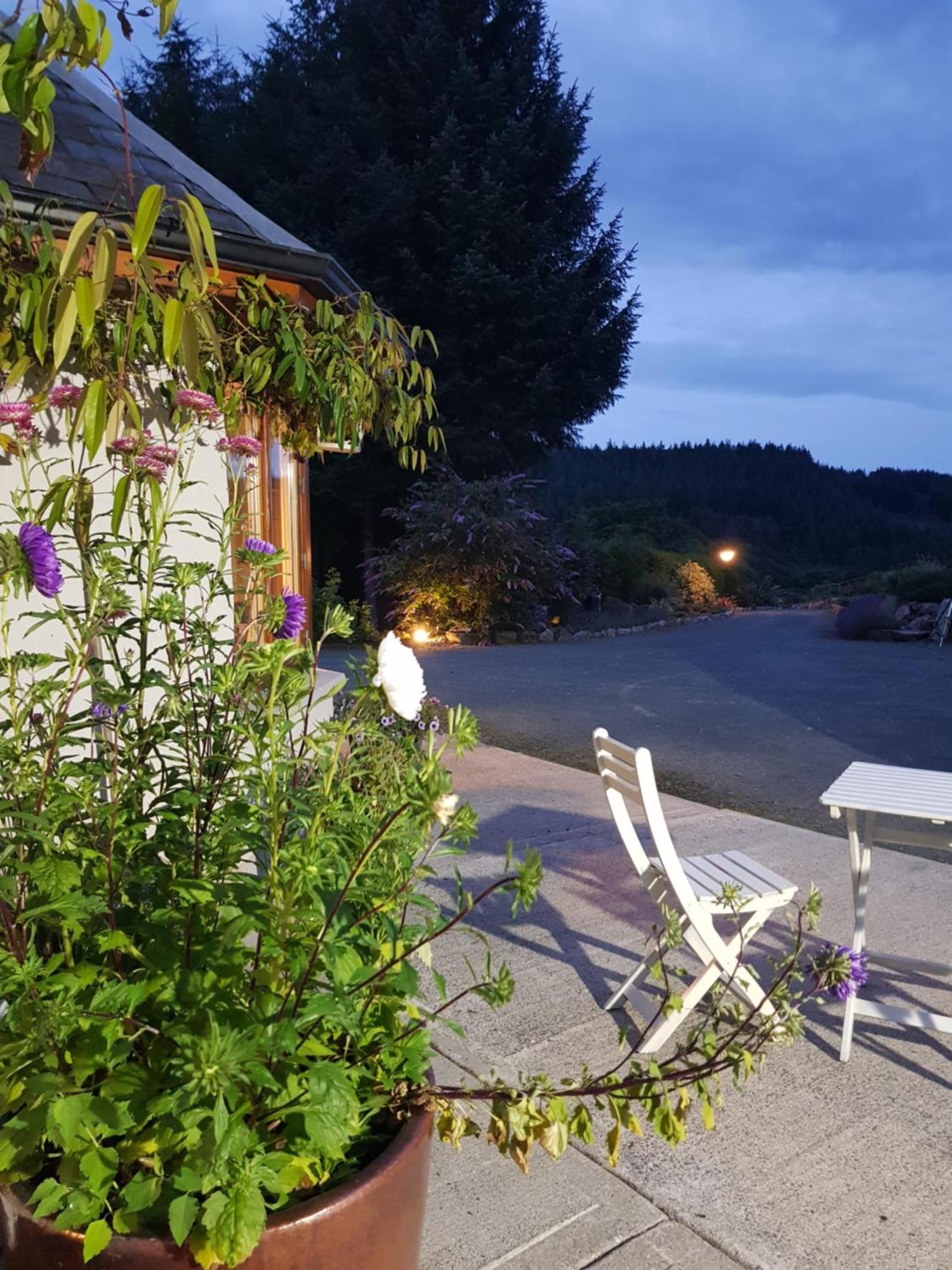 Forest View Woodland Lodge Ballard Exterior foto